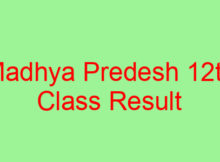 Madhya Predesh Class 12th Exam Result 2019